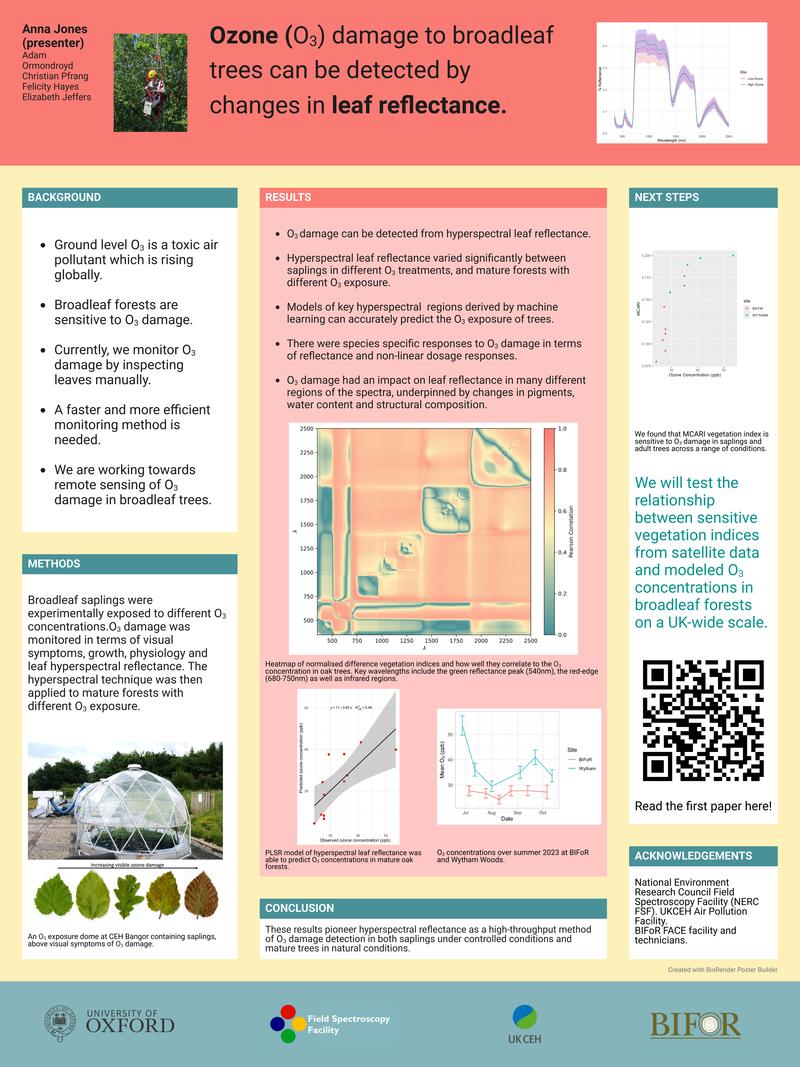 bes 2024 poster updated